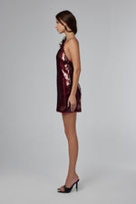 Load image into Gallery viewer, Scarlet Dust Mini Dress